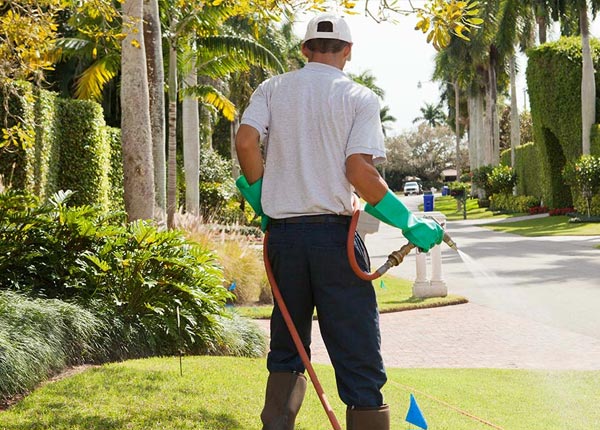 About Goodland FL Pest Control
